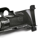 15-17 Ford Mustang Rahmen für Nebelscheinwerfer - Carbon