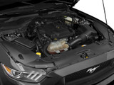 15-17 Ford Mustang Motorraum - Abdeckung - Kühlerträger - Verlängerung