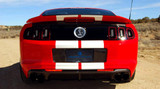 13-14 Ford Mustang Kennzeichenhalter - Carbon
