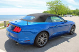 15-23 Ford Mustang (Convertible) Antennenstab - Schwarz Shorty kurz Aluminium