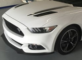 15-17 Ford Mustang California Special Splitter