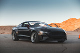 18-23 Ford Mustang Kotflügelverbreiterung - Type-JTP - Carbon