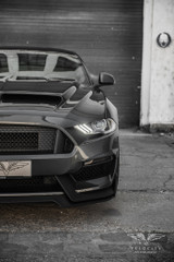 18-23 Ford Mustang Kotflügel - GT350 Style - Aluminium