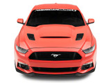 15-17 Ford Mustang Motorhaubenentlüftung - Schwarz - Glänzend
