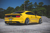 15-17 Ford Mustang Stoßstangenansatz - Cervinis - Stalker Hinten unten