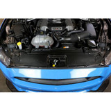 15-17 Ford Mustang Abdeckung Kühlerträger - Carbon Oben