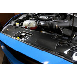15-17 Ford Mustang Abdeckung Kühlerträger - Carbon Oben