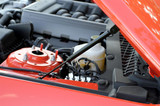 15-23 Ford Mustang Haubenlift - QuickLIFT PLUS - Schwarz - EU & US Version - OEM & Fiberglas Hauben