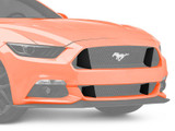 15-17 Ford Mustang GT Erweiterung Kühlergrill - GT350 Style