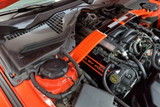 15-23 Ford Mustang Federdom - Abdeckung Vorne links und rechts