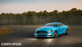 15-17 Ford Mustang (2.3, 5.0) Motorhaube - Cervinis - Cobra R