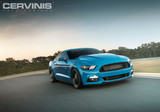 15-17 Ford Mustang (2.3, 5.0) Motorhaube - Cervinis - Cobra R