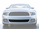 13-14 Ford Mustang (5.0) Kühlergrill - ROUSH - Unterer Vorne unten