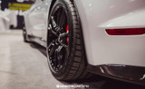 2020 Ford Mustang Shelby GT500 (5.2) Spritzschutz-Set - Hinten - Carbon Hinten