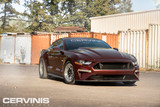 18-23 Ford Mustang EcoBoost (2.3) Motorhaube - Cervinis - Cobra R