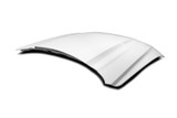 18-23 Ford Mustang EcoBoost (2.3) Motorhaube - Cervinis - Cobra R