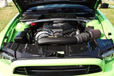 13-14 Ford Mustang GT (5.0) Abdeckung Kühlerträger - Carbon - LG137