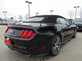 15-23 Ford Mustang (Convertible/Coupe) Heckspoiler - Ford OEM Style klein - Fiberglas Hinten