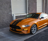 18-23 Ford Mustang Motorhaube - Shelby GT - Fiberglas Vorne