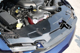 10-12 Ford Mustang (4.0, 5.0) Abdeckung Kühlerträger - Carbon - LG46