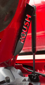 05-14 Ford Mustang (5.0) Haubenlift