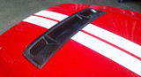 10-14 Ford Mustang Shelby GT500 (5.4, 5.8) Lufteinlass Motorhaube - Carbon - LG77KR