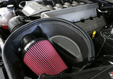 15-17 Ford Mustang GT (5.0) Sportluftansaugsystem - ROUSH 10,4PS ohne Software