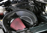 15-17 Ford Mustang EcoBoost (2.3) Sportluftansaugsystem - ROUSH 29,6PS ohne Software