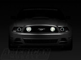 13-14 Ford Mustang GT Nebelscheinwerfer Satz - Mit Standlichtringen