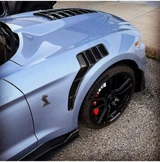 20-22 Ford Mustang Shelby GT500 (5.2) Kotflügelset - Carbon - Type TPF
