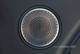 15-23 Ford Mustang Abdeckung Lautsprecher - GT Premium - Edelstahl