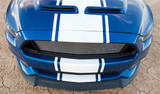15-17 Ford Mustang GT (5.0) Spoilerschwert - 50th Anniversary Super Snake