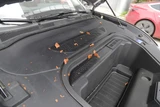 21-23 Ford Mustang Mach-E Gittereinsatz in Stoßstange - Insektennetz für Frunk