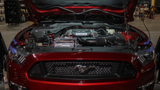 15-23 Ford Mustang (2.3, 5.0) Ausgleichsbehälter für Motorkühlmittel - Mishimoto - Silber