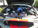07-14 Ford Mustang Shelby GT500 (5.4, 5.8) Kappe für Kühlmittelausgleichsbehälter - Carbon - LG499