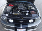 05-09 Ford Mustang GT (4.6) Abdeckung Kühlerträger - Carbon Oben
