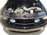 05-09 Ford Mustang GT (4.6) Abdeckung Kühlerträger - Carbon Oben