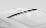 15-23 Ford Mustang (Coupe) Spoiler - Dachkante CDC Outlaw Hinten