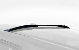 15-23 Ford Mustang (Coupe) Spoiler - Dachkante CDC Outlaw Hinten