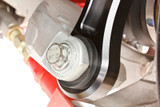 15-23 Ford Mustang Querlenker - BMR - Hinten unten vertikal - Polyoxymethylene Hinten unten