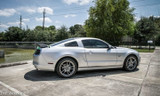 10-14 Ford Mustang Spoiler - Heckspoiler - Carbon - DCA63 Hinten