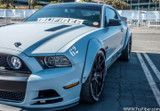 10-14 Ford Mustang Kotflügelverbreiterung - Fiberglas - LG219-S Hinten