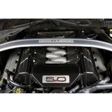 15-17 Ford Mustang GT (5.0) Motorabdeckung - Carbon