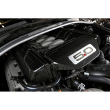 15-17 Ford Mustang GT (5.0) Motorabdeckung - Carbon