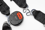 18-24 Ford Mustang Sicherheitsgurt - 4-Punkt Sicherheitsgurt  - RTR/Schroth - Quickfit ASM - mit ECE/DOT - Fahrerseite Fahrerseite