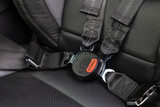 05-17 Ford Mustang Sicherheitsgurt - 4-Punkt Sicherheitsgurt  - RTR/Schroth - Quickfit Pro ASM - mit ECE/DOT - HANS komp. - Fahrerseite Fahrerseite