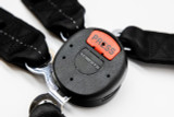 05-17 Ford Mustang Sicherheitsgurt - 4-Punkt Sicherheitsgurt  - RTR/Schroth - Quickfit Pro ASM - mit ECE/DOT - HANS komp. - Beifahrerseite Beifahrerseite