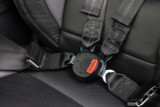 05-17 Ford Mustang Sicherheitsgurt - 4-Punkt Sicherheitsgurt  - RTR/Schroth - Quickfit Pro ASM - mit ECE/DOT - HANS komp. - Beifahrerseite Beifahrerseite