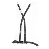 05-17 Ford Mustang Sicherheitsgurt - 4-Punkt Sicherheitsgurt  - RTR/Schroth - Quickfit Pro ASM - mit ECE/DOT - HANS komp. - Beifahrerseite Beifahrerseite