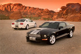 05-09 Ford Mustang Stoßfänger - GT - California Special Vorne